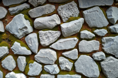 Rock Wall Moss Texture Background Product Image 1