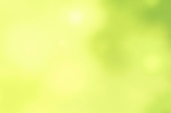 Green Yellow Soft Blur Background Product Image 1