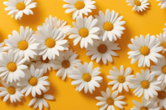 Yellow Daisy Summer Floral Background Product Image 1