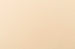 Pastel Peach Solid Color Background Product Image 1