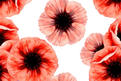 Pink Poppy Bloom Pattern Background Product Image 1