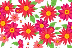 Red &amp; Pink Aster Flower Background Product Image 1
