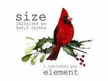 Watercolor Christmas clipart with cardinal birds Product Image 4