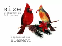 Watercolor Christmas clipart with cardinal birds. Product Image 5