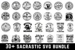 30 Sacrastic Svg Bundle |Sarcastic SVG Cut files |Cricut Product Image 1