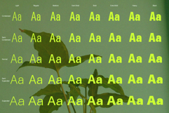 ZT Talk Sans - 80 Font Product Image 2