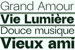 ZT Talk Sans - 80 Font Product Image 9