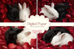 Easter Bunny Background Backdrop Rabbit Wallpaper Wall Art19 Product Image 1