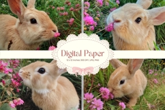 Easter Bunny Background Backdrop Rabbit Wallpaper Wall Art21 Product Image 1