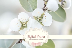 White Flower Background Wall art Wallpaper Backdrop_84 Product Image 1