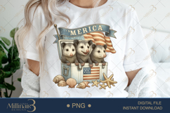 4th of July Opossum PNG |Funny Patriotic Family Product Image 1
