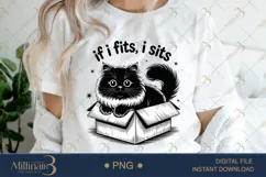 If I Fits, I Sits Cat PNG Sublimation ,Funny Cats Product Image 1