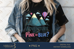 Adventure Begins Pink or Blue? PNG |Gender Reveal Party Product Image 2