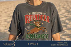 My Students Have Reindeer Energy PNG, Funny Teacher Christma Product Image 2