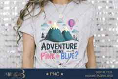 Adventure Begins Pink or Blue? PNG |Gender Reveal Party Product Image 3
