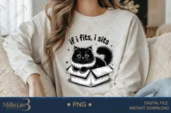 If I Fits, I Sits Cat PNG Sublimation ,Funny Cats Product Image 3