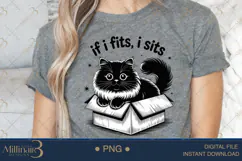 If I Fits, I Sits Cat PNG Sublimation ,Funny Cats Product Image 4