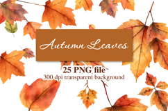 Watercolor AutumLeaves Clipart, PNG File Product Image 1