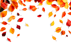 Autumn leaves background Product Image 1