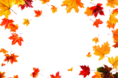 Autumn leaves background Product Image 1