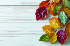 Autumn leaves on wooden background Product Image 1