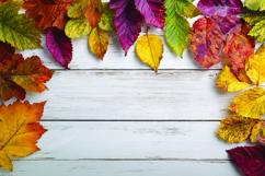 Autumn leaves on wooden background Product Image 1