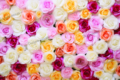 Roses background Product Image 1