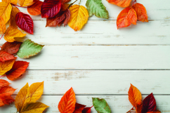 Autumn leaves on wooden background Product Image 1