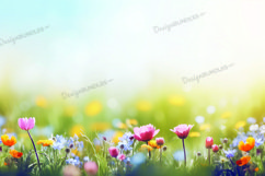 Spring flower background, spring bokeh digital paper Product Image 1