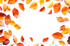 Autumn leaves background Product Image 1