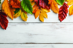 Autumn leaves on wooden background Product Image 1