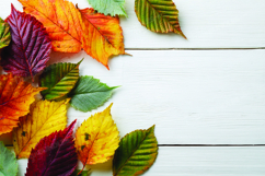Autumn leaves on wooden background Product Image 1