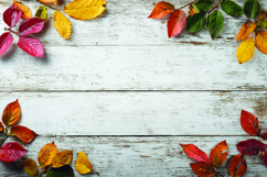 Autumn leaves on wooden background Product Image 1