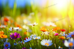 Spring flower background, spring bokeh digital paper Product Image 1