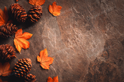 Autumn leaves background Product Image 1