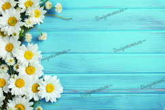 Daisy flowers on blue wooden background spring digital paper Product Image 1