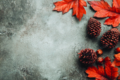 Autumn leaves background Product Image 1