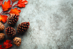 Autumn leaves background Product Image 1