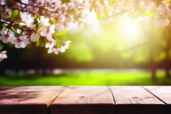 Spring flower background with wooden bench Product Image 1