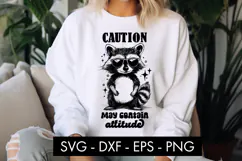 Funny Racoon Animal SVG PNG Sublimation Product Image 1