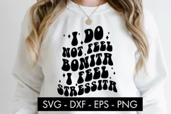 I Do Not Feel Bonita I Feel Stressita SVG Cut File PNG Product Image 2