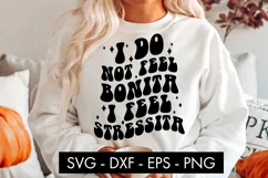 I Do Not Feel Bonita I Feel Stressita SVG Cut File PNG Product Image 3