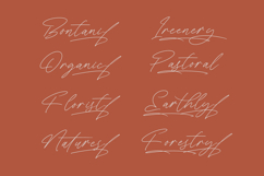 President Mistera - Modern Signature Font Product Image 11