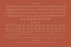 President Mistera - Modern Signature Font Product Image 19