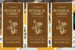 Prestafory - Art Deco Elegant Sans Serif Product Image 4