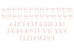Pretty in Proposal Monogram Color Font Product Image 3
