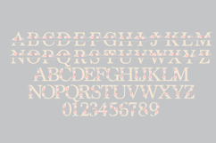Pretty in Proposal Monogram Color Font Product Image 4