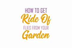 How To Get Rid Of Flies From Your Garden Pretty Insect Product Image 3