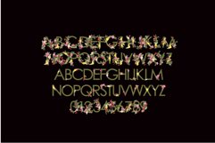 Pretty Posies Too Color Font Product Image 4