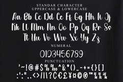 Pretty Product Image 4